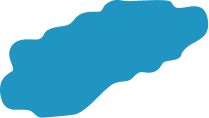 Vector (8)